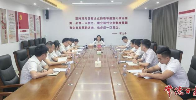 常德国资系统“清风护航守廉组”开展年轻干部廉洁从业警示教育